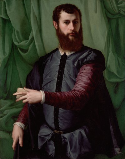 Portrait of a Man by Francesco de Rossi Salviati Cecchino